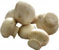 Свежие культивированные грибы шампиньоны категории АВ