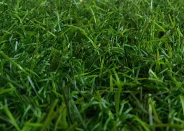 Искусственная трава ландшафтная Green арт 20