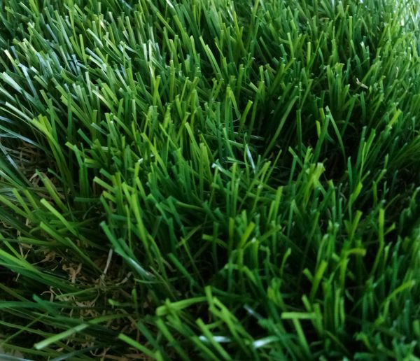 Искусственная трава арт 50 Grass ТР
