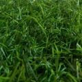 Искусственная трава ландшафтная Green арт. 20