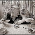 Юридическая помощь с Пенсионным Фондом РФ