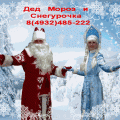 Дед Мороз и Снегурочка домой, в кафе или ресторан, детский садик или школу...