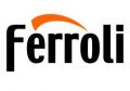 Котел для отопления дома Ferroli