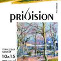 Фотобумага для принтеров 500л privision 230гр глянцевая 10x15