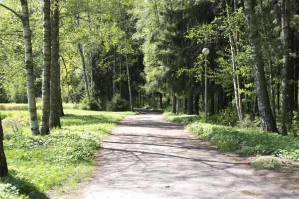 Аллея на территории