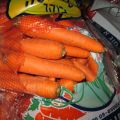 Морковь (Израиль)