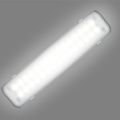 Светодиодный светильник пылевлагозащищенный viLED 003 2*18