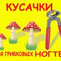 Проблемы с ногтями. Кусачки "Антигриб" для проблемных ногтей