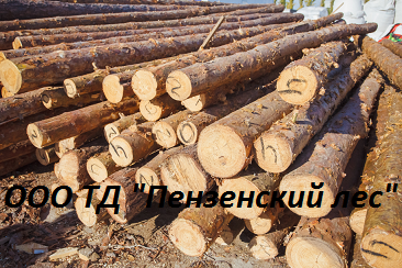Кругляк пиловочник