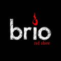Шоу-проект Brio