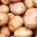 Сорт-картофеля Жуковский оптом от 20 тонн