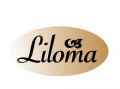 Выключатель LILOMA VC0047 для овощерезки