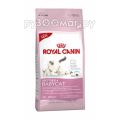 Royal Canin Mother&Babycat (4 кг)