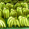 Бананы из Эквадора