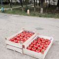 Деревянные ящики для фруктов и овощей