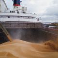 Россия - Китай: поставки пшеницы на апрель 2020 год