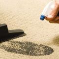 Как правильно ухаживать за ковровыми покрытиями