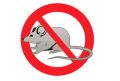 Уничтожение морить тарвить крыс в Самаре и области