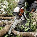 Расчистка участка от деревьев и мелколесья в Тюмени