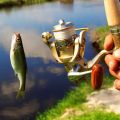 Интернет-магазин HOXWELL. ru предлагает широкий выбор товаров для рыбалки