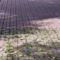 Очистка швов тротуарной плитки