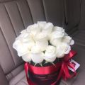 В Dzhonni Dzheliya Flowers возобновились поставки белых роз