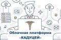 IT-шлюз КАДУЦЕЙ для API или WEB интеграции с ФГИС Меркурий для оформления эВСД