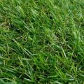 Искусственная трава арт 20 GRASS ТР