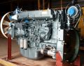 Двигатель Sinotruk WD615.69 для HOWO Евро-2