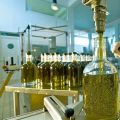 Продажа оливкого масла оптом