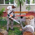 Удаление аварийного дерева в Саратове и Саратовской области