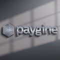 Paygine расскажет о новом решении для рынка платежей. Acquiring o2o – online to offline.