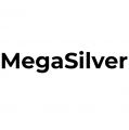 Интернет-магазин «MegaSilver»