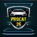 Компания «PROcat26»