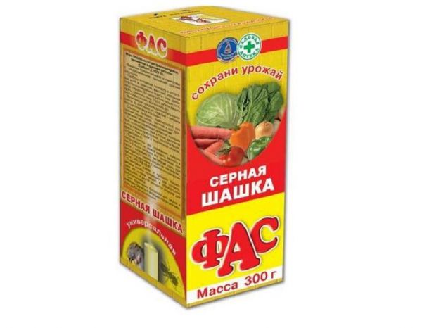 nadjibok58
