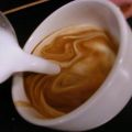 Сорта кофе: Арабика, Робуста и Либерика