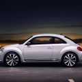 Beetle. Volkswagen Beetle