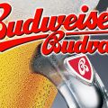Budweiser Budvar Светлое 1 Л