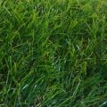 Искусственная трава арт. 35 GRASS ТР