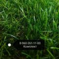 Искусственная трава арт 35 GRASS