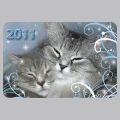 Календари карманные "Кошки"