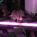 Новые светодиодные фитосветильники для растений и рассады