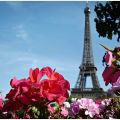Майские праздники во Франции с прямым вылетом из Краснодара 29.04 и 05.05