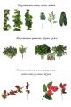Искусственные растения, ветки, листья, лианы