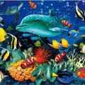 Алмазная картина 40 х50 Подводный мир с подрамником