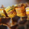 Перга - пчелиный хлеб