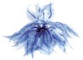 5611124 Мягкий коралл DEZZIE 4,5*4,5*12см, резина, голубой