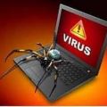 Поиск и удаление компьютерных вирусов, и прочих вредоносных программ