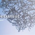 Противоэрозионные маты Secumat® (Секумат)