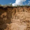 Песок карьерный (строительный)
